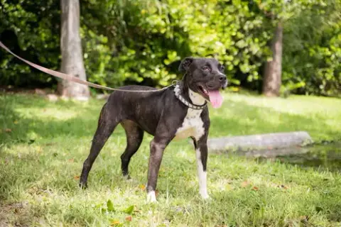 Fiona photo 2