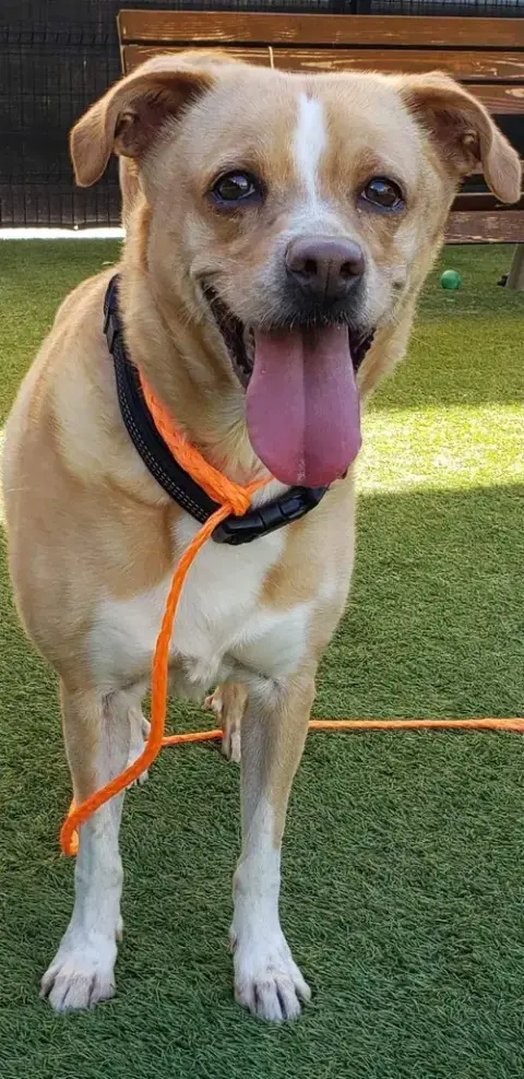 Bella photo 3