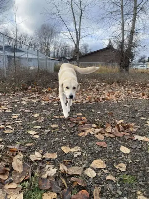 Clementine photo 4
