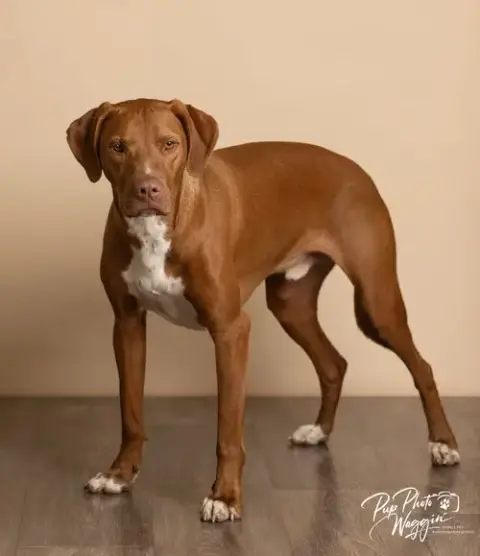 Winston photo 2