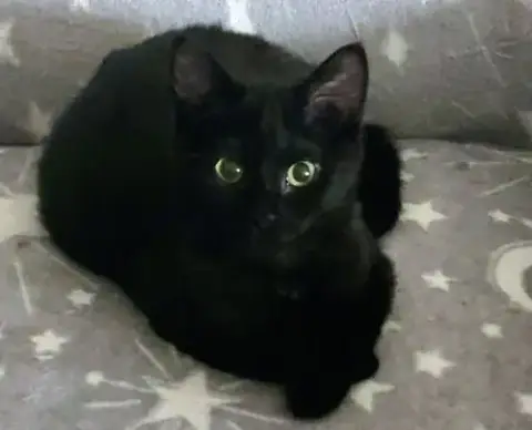 Izzy