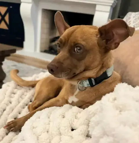 John Wayne Is 13 Lbs. Of Fun photo 2