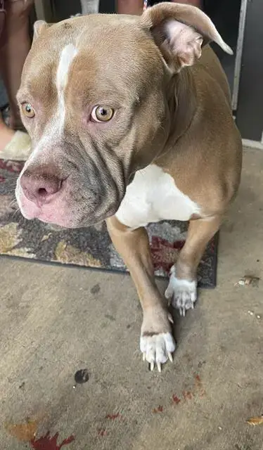 Coco