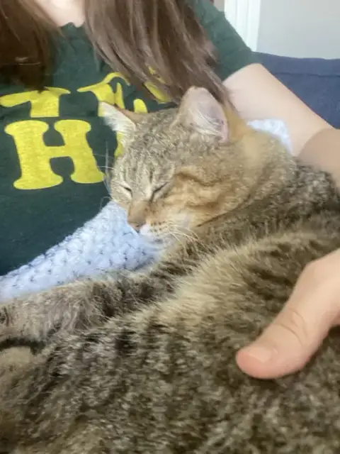 Kitty Cent photo 2