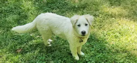 Daphne photo 2