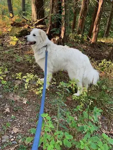 Sadie In Nh(Sponsored!) photo 3