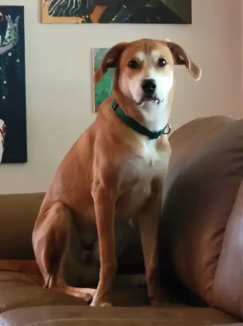 Tucker