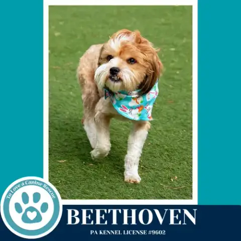 Beethoven
