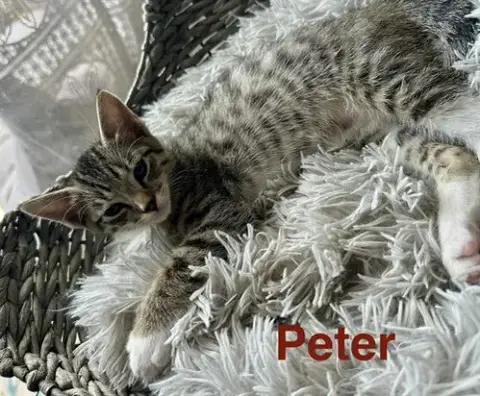 Peter
