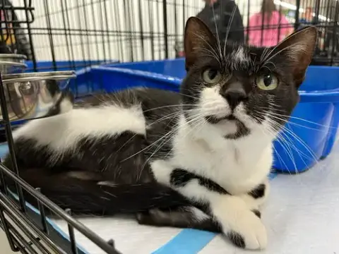 Alice photo 4