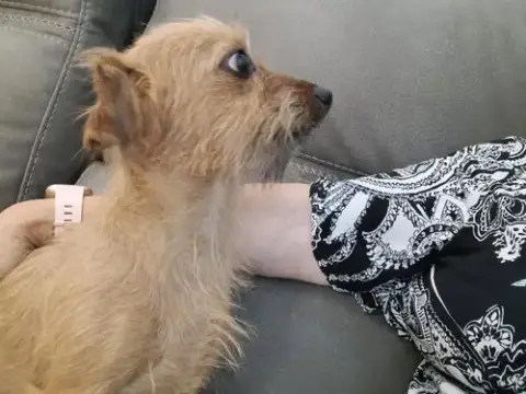 Bonnie photo 3