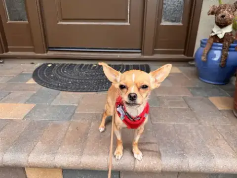 Tiny