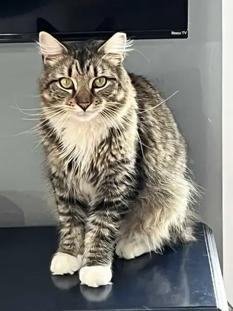 Sebastian photo 2
