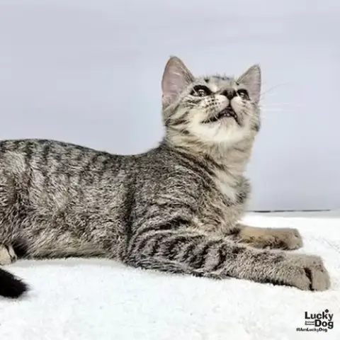 Hilda