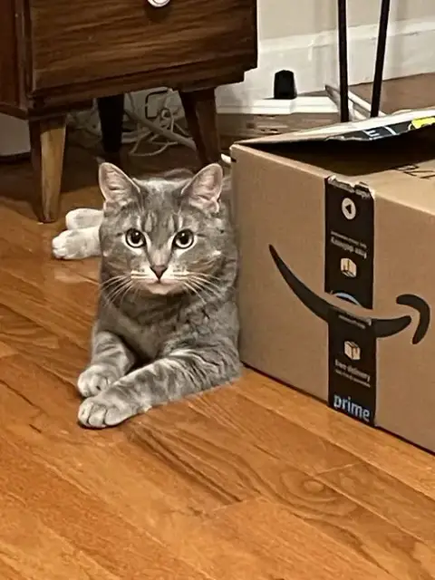 Rosie