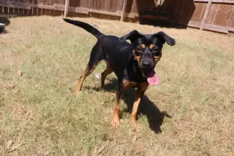 Frannie photo 3