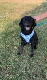 Luna 2