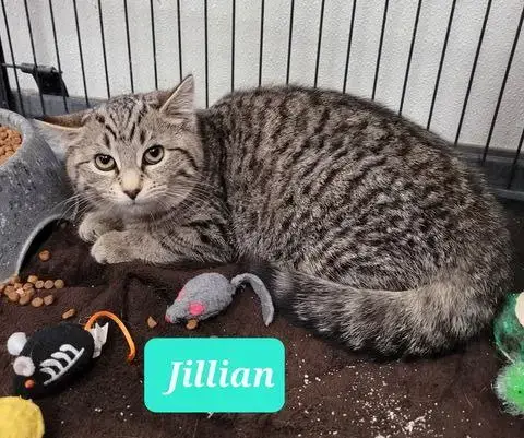Jillian-Sponsored photo 3