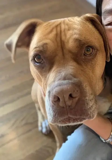 Jax photo 2