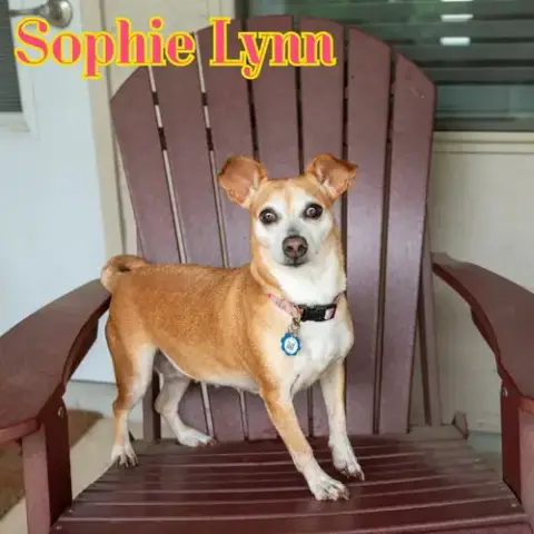 Sophie Lynn photo 2
