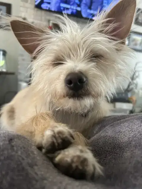 Kaiser photo 2