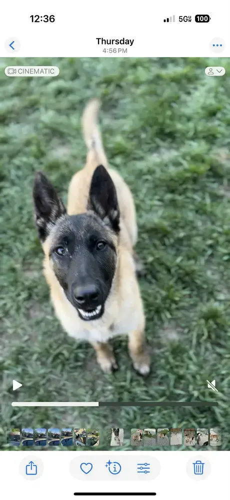 Sierra In Co photo 3