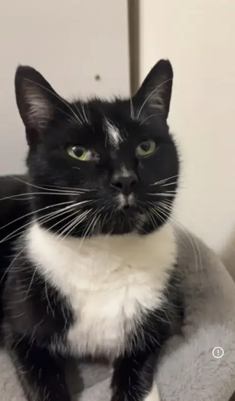 Lola
