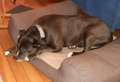 Lexi photo 3