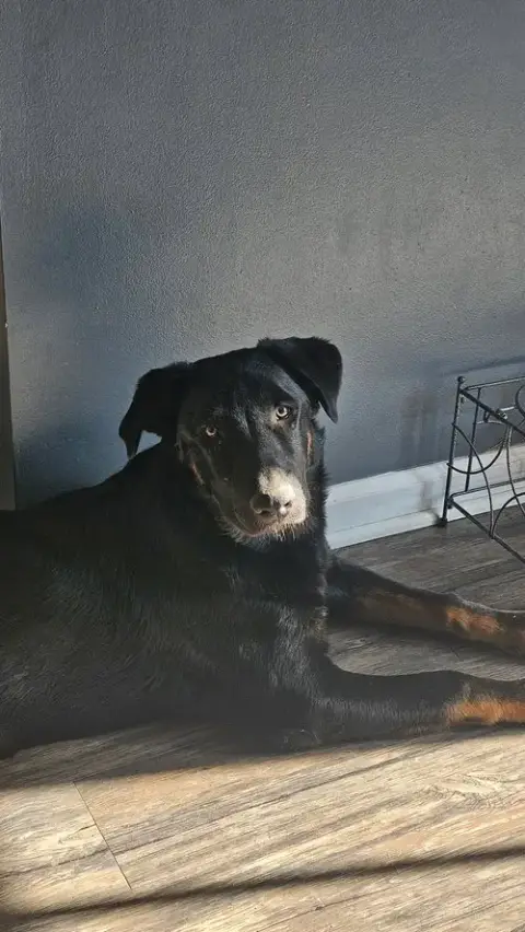 Riley photo 3