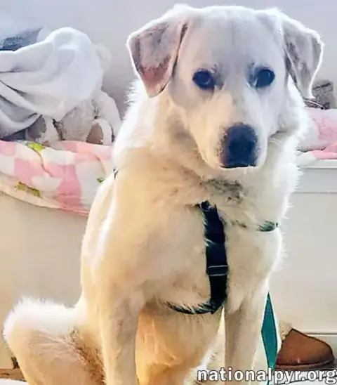 Charlie In Va photo 2