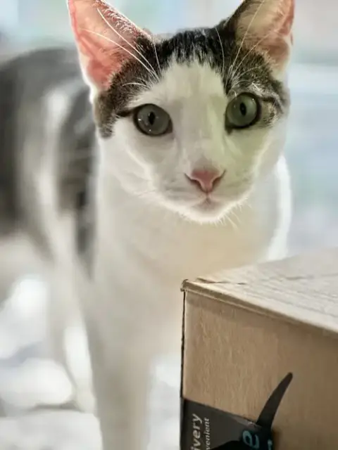Frodo photo 3