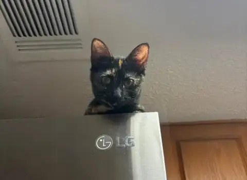Tilly
