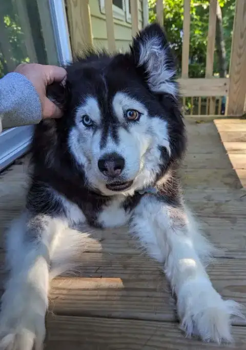Sakari photo 2