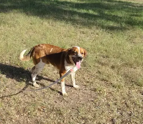 Reagan photo 2