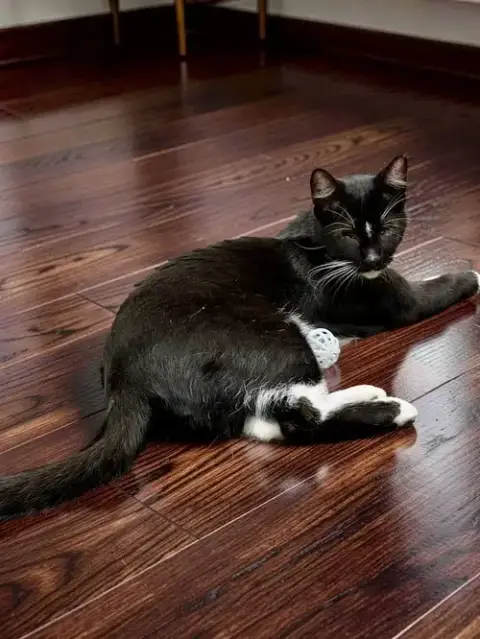Finn photo 3
