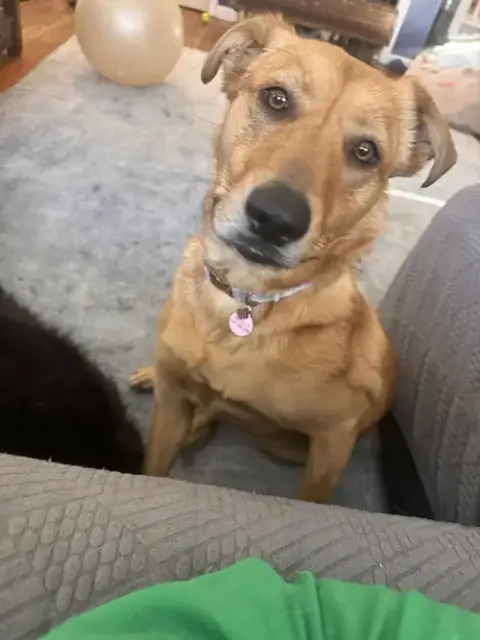 Ac photo 4
