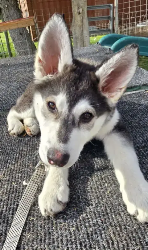 Tilly