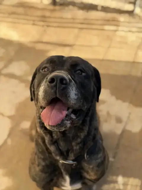 Valentina