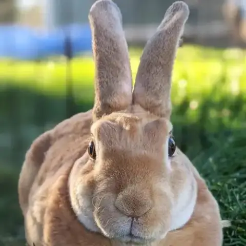 Binky photo 2
