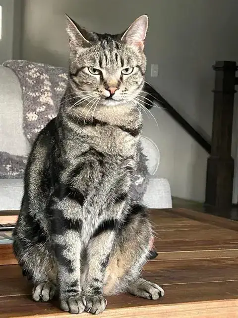Milo