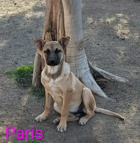 Paris