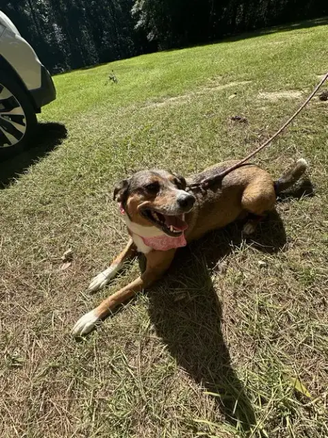 Lady photo 3