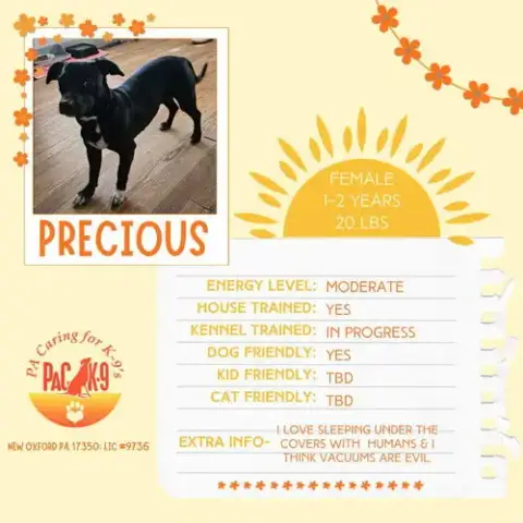Precious