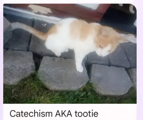 Tootie