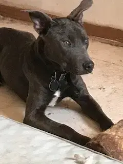 Jonah