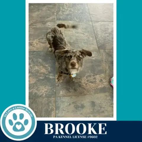 Brooke 042526 photo 2