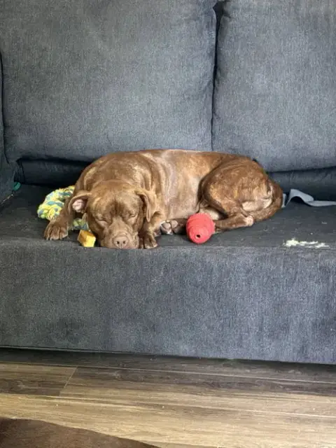 Jack photo 2