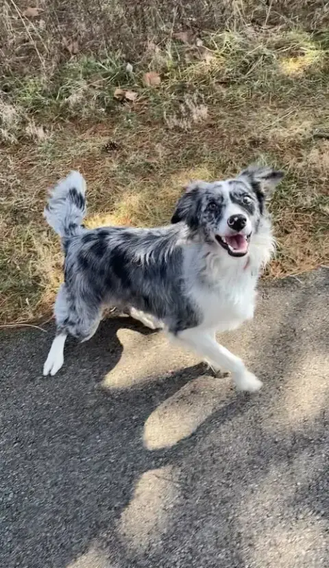 Fern"I'Ve Been Adopted"