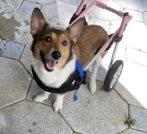 Sadie photo 3