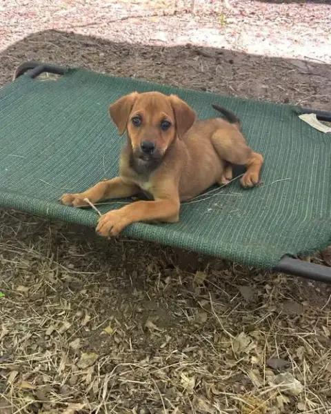 Ellie
